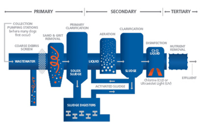 Water Treatment Chemicals